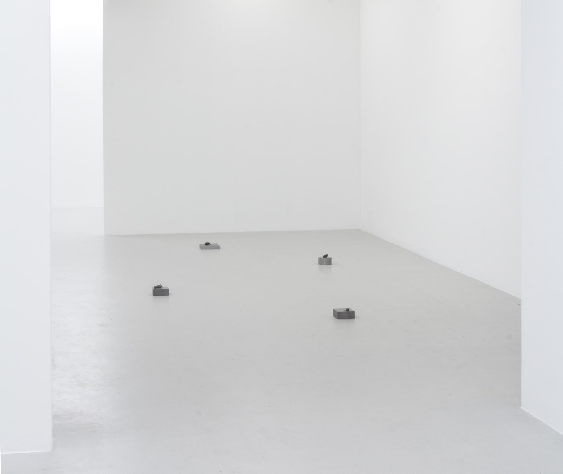 Installation documentation of Jo Coupe: All That Fall / Joseph Beuys: Wirtschaftswert at Workplace | London
