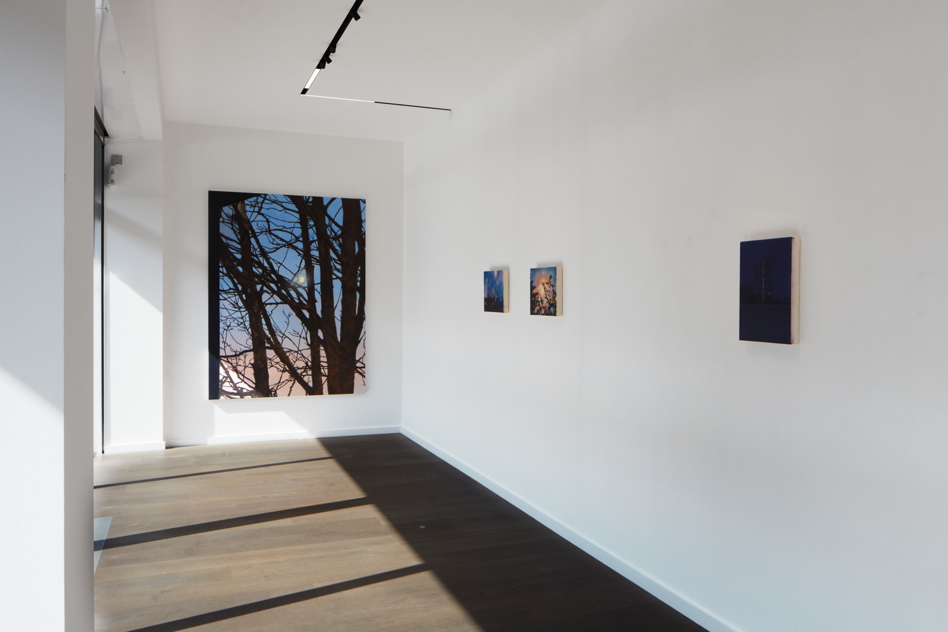 Install images of James Prapaithong's exhibition 'A Year Ago Today' at Workplace | London