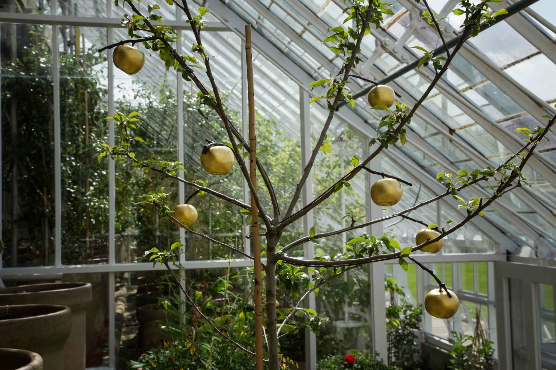 Catherine Bertola, In the pursuit of perfection, 2014