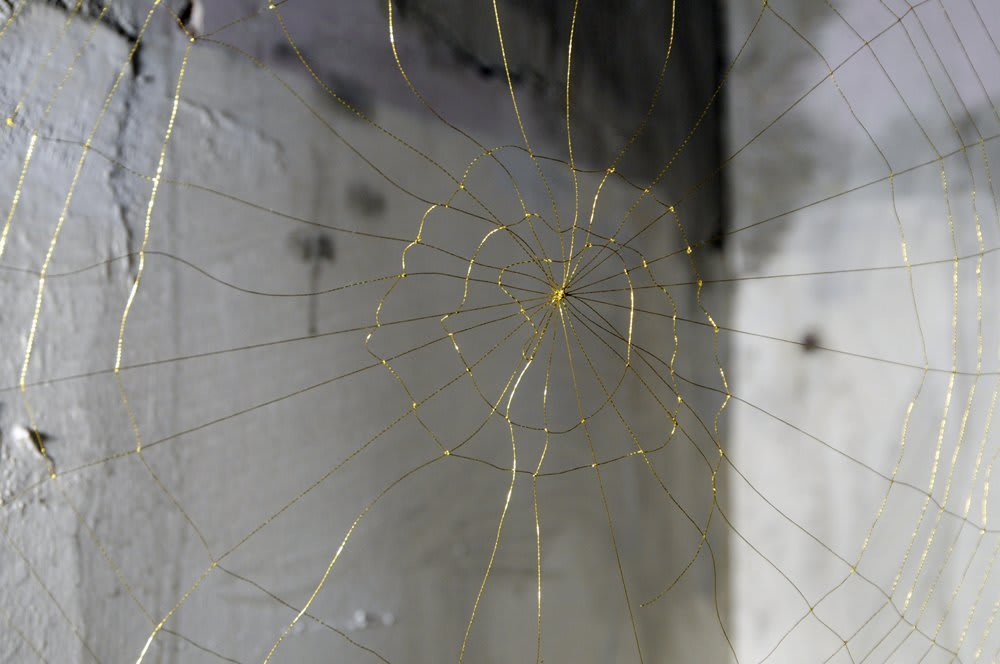 Catherine Bertola, Unseen by all but me alone, 2009