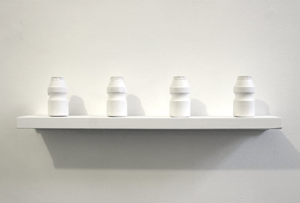 Cecilia Stenbom, Bio-Terrorism vs. Natural Defences, 2010