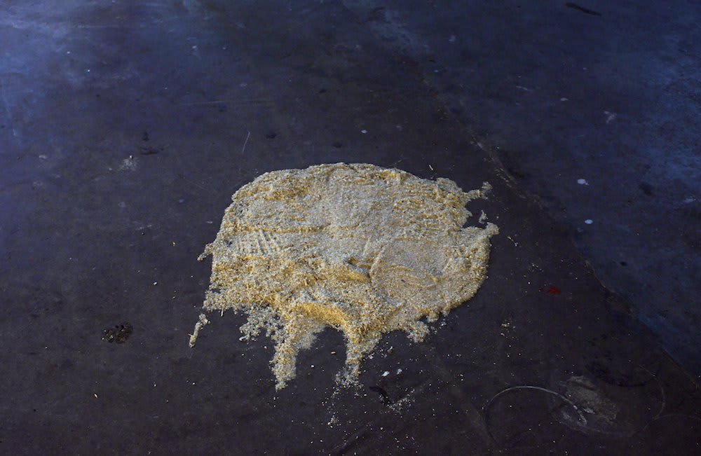 Darren Banks, Crowley's Cut, 2010