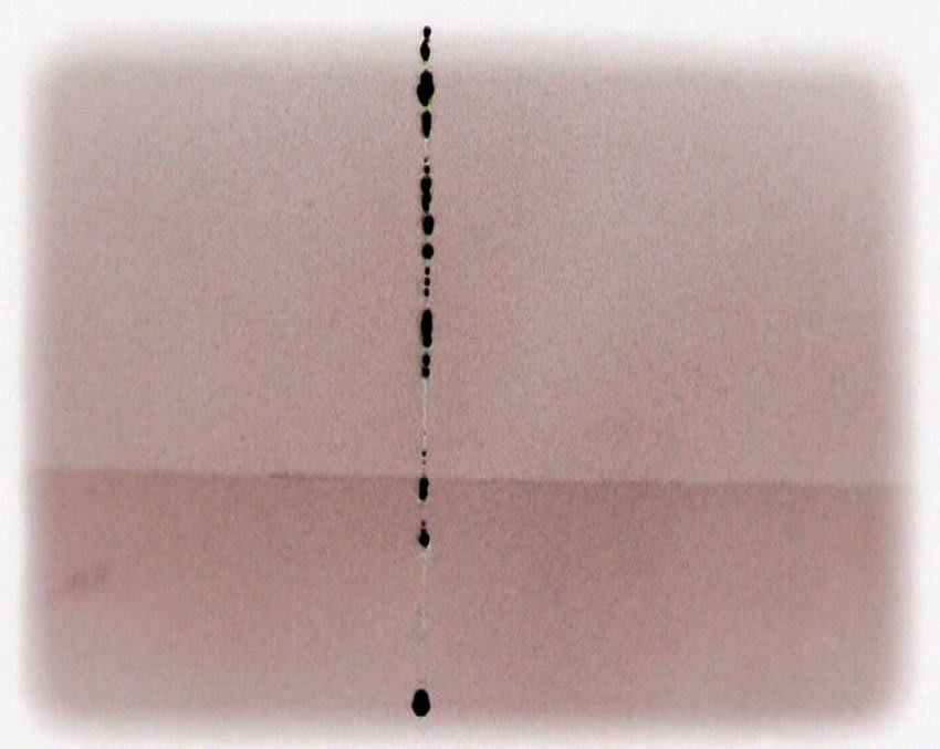 Darren Banks, The Unboard, 2005