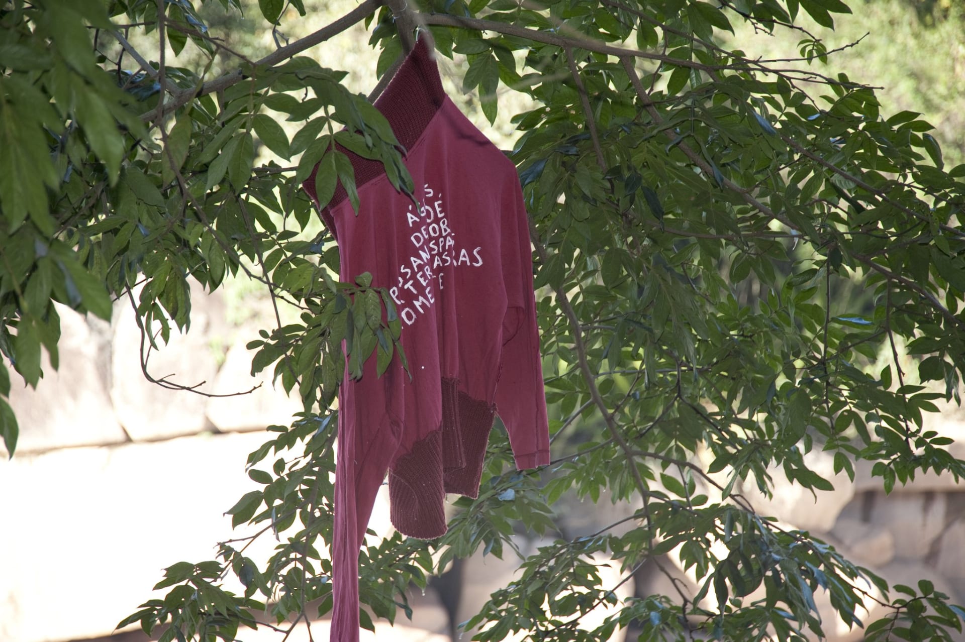 Hugo Canoilas, Margens, 2012