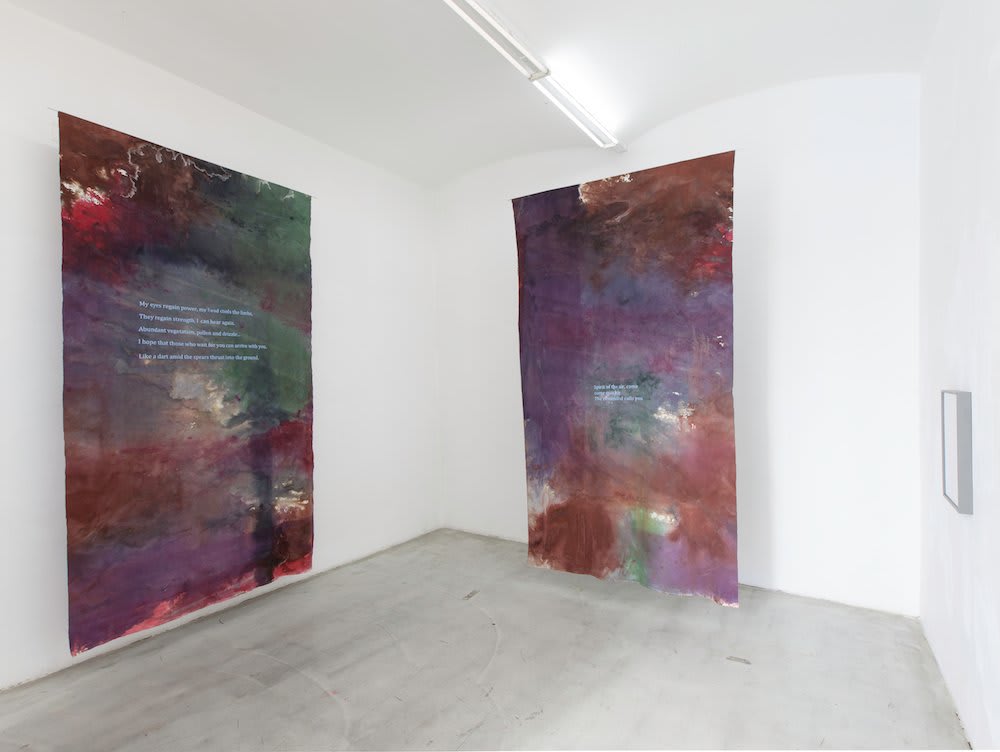 Hugo Canoilas, Spirit of the air, 2013