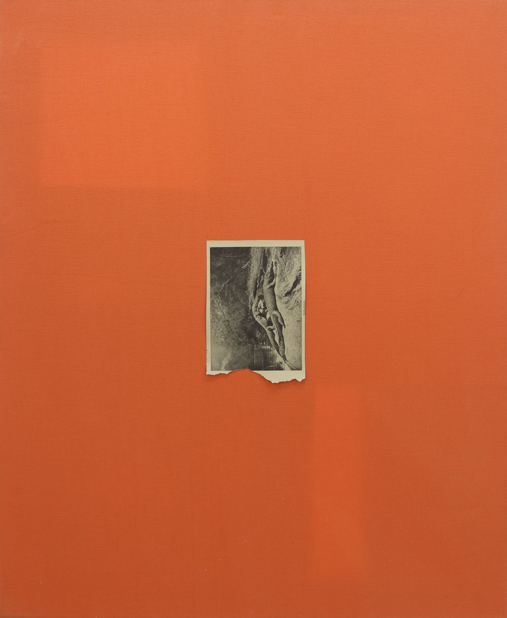 Hugo Canoilas, The sterile everyday of horrid fixity., 2013