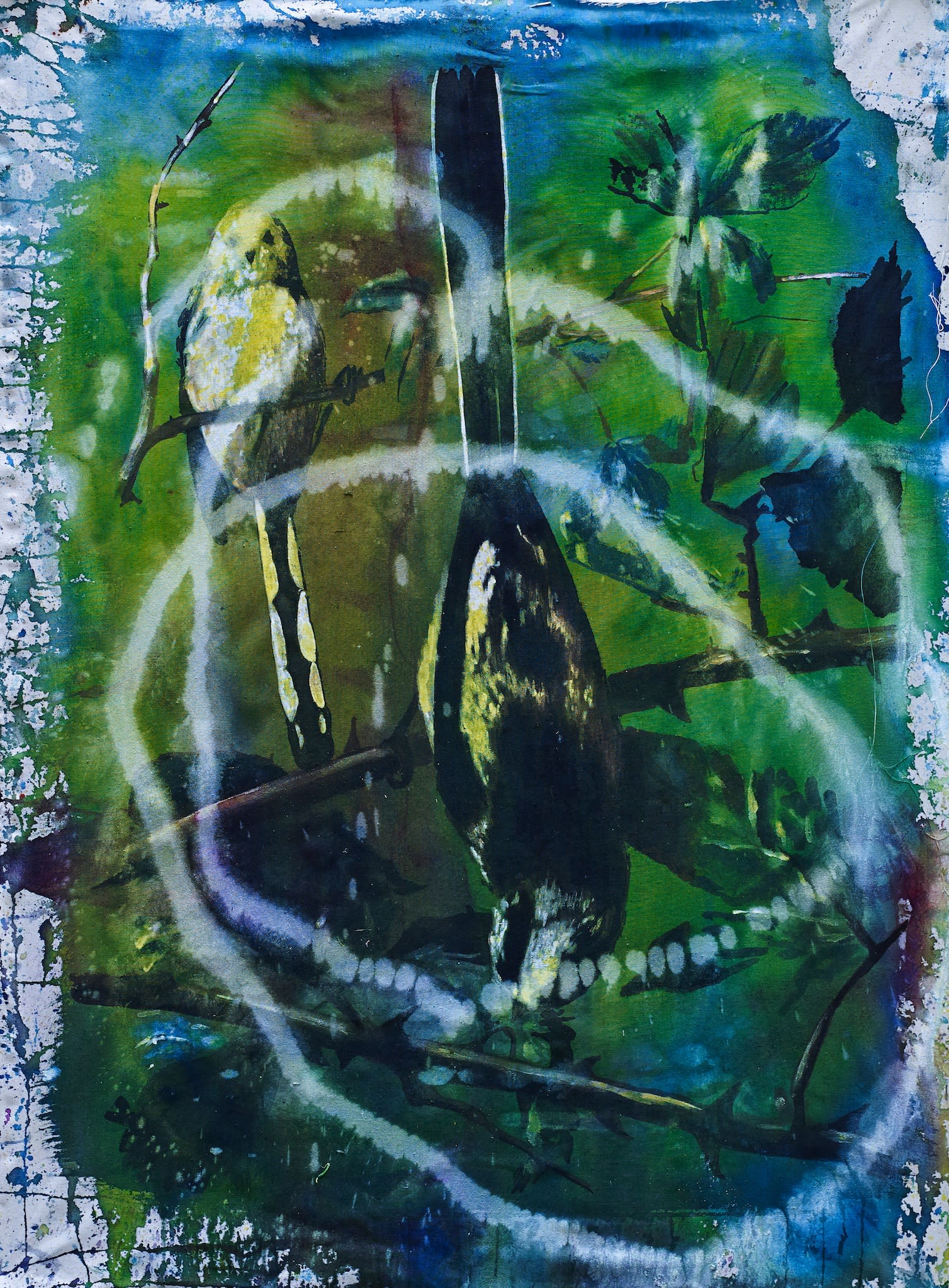 Hugo Canoilas, Untitled (Loop), 2014