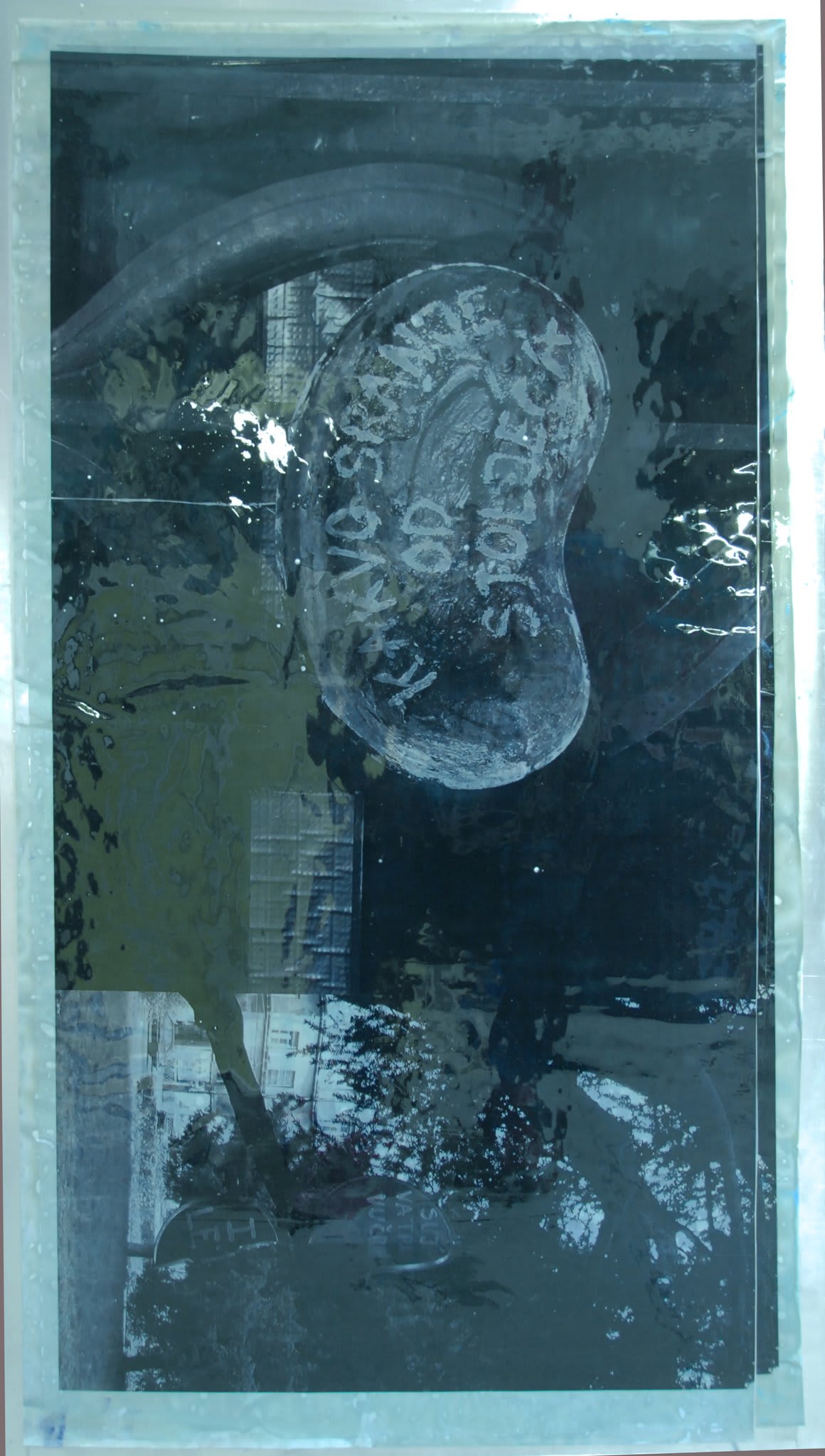 Hugo Canoilas, What a shitty century, 2013