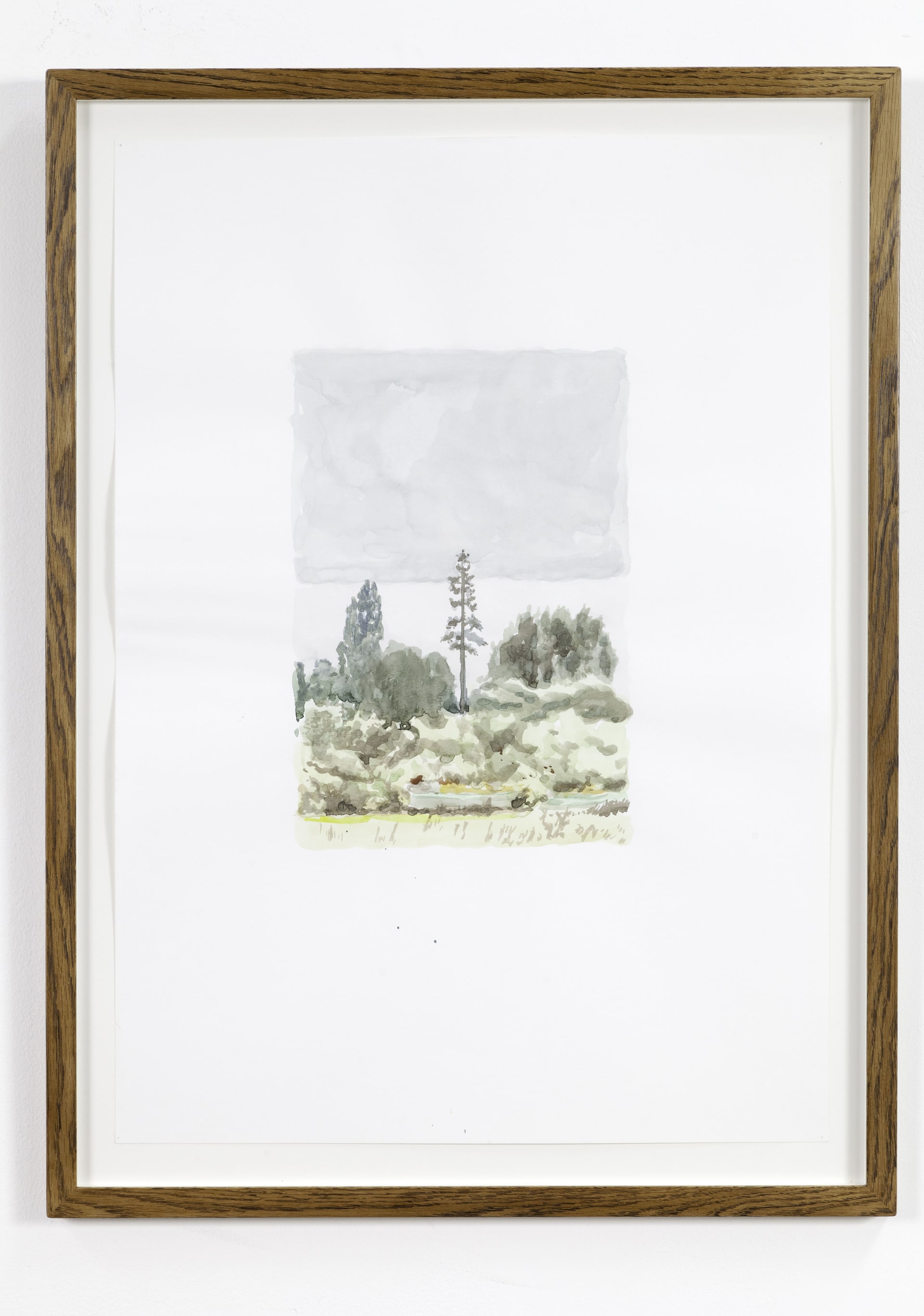 Magnus Quaife, A Phone Mast Pretneding to be a Tree