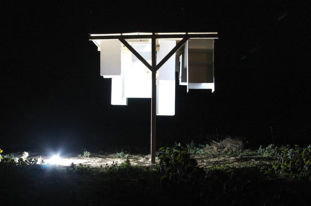 Miles Thurlow, Morro, 2007