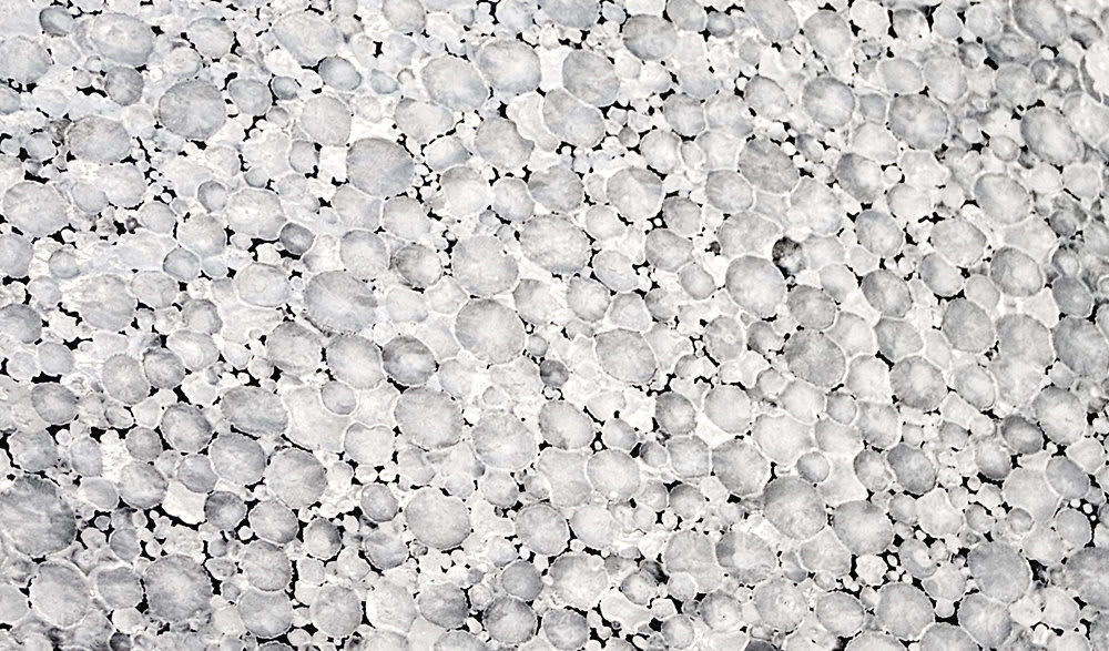 Miles Thurlow, Universe (no.2), 2005