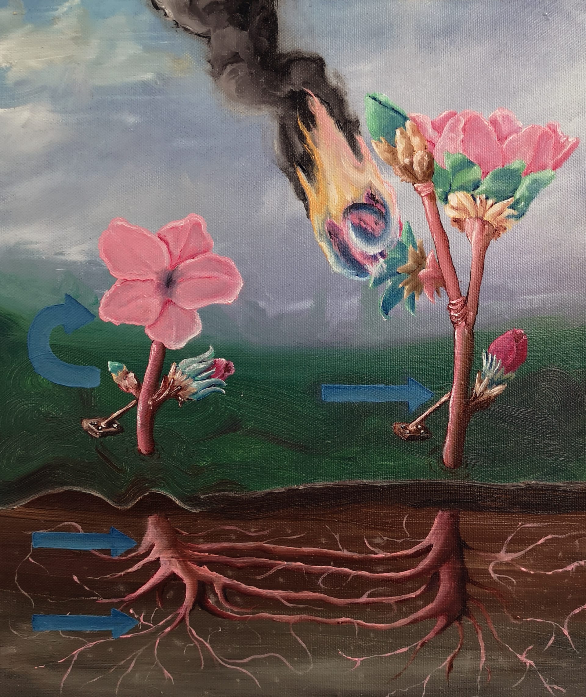 Parham Ghalamdar, Practical instruction for safeguarding and survival, 2019