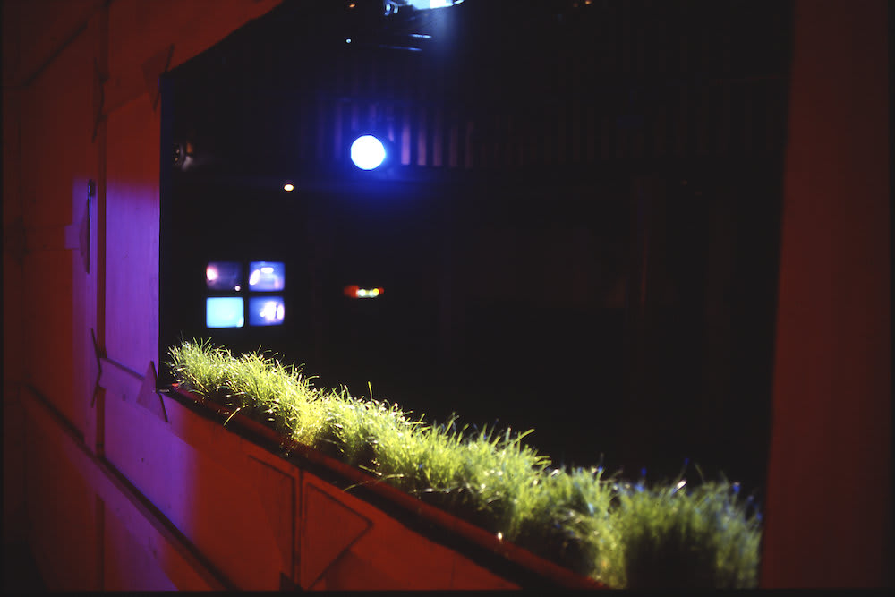 Paul Moss, Jack in the Box, 2000