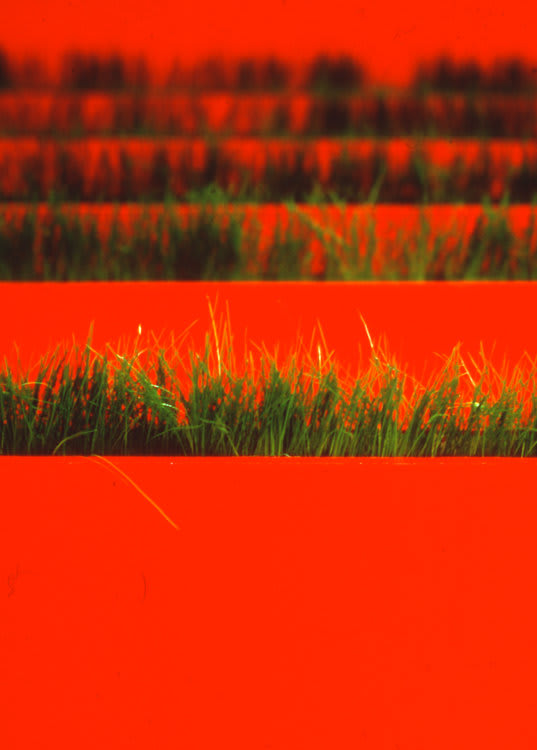 Paul Moss, Winner Takes All (Detail), 2000