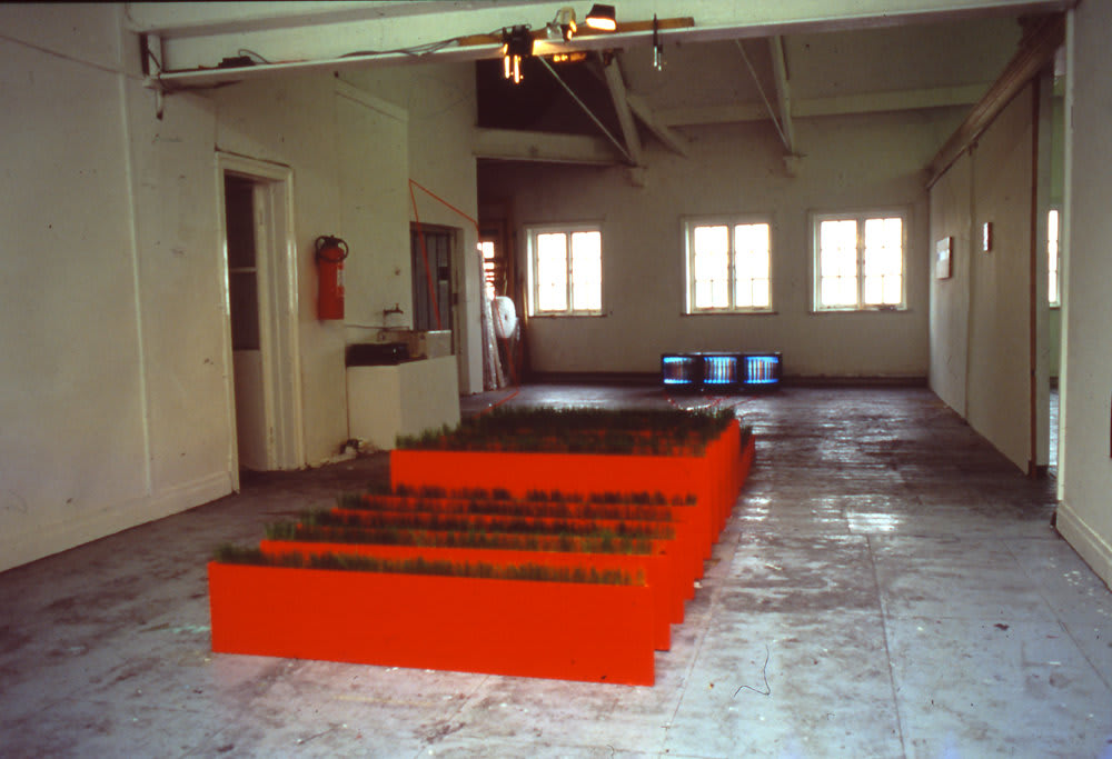 Paul Moss, Winner Takes All, 2000