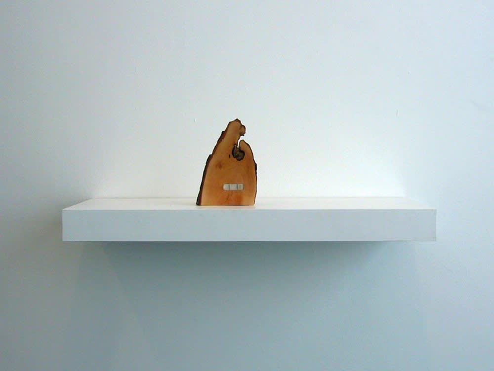 Peter J. Evans, The Hart of the Wud, 2008