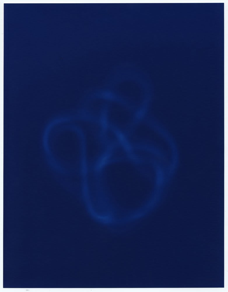 Richard Rigg, The fort was here before it was built, 2010