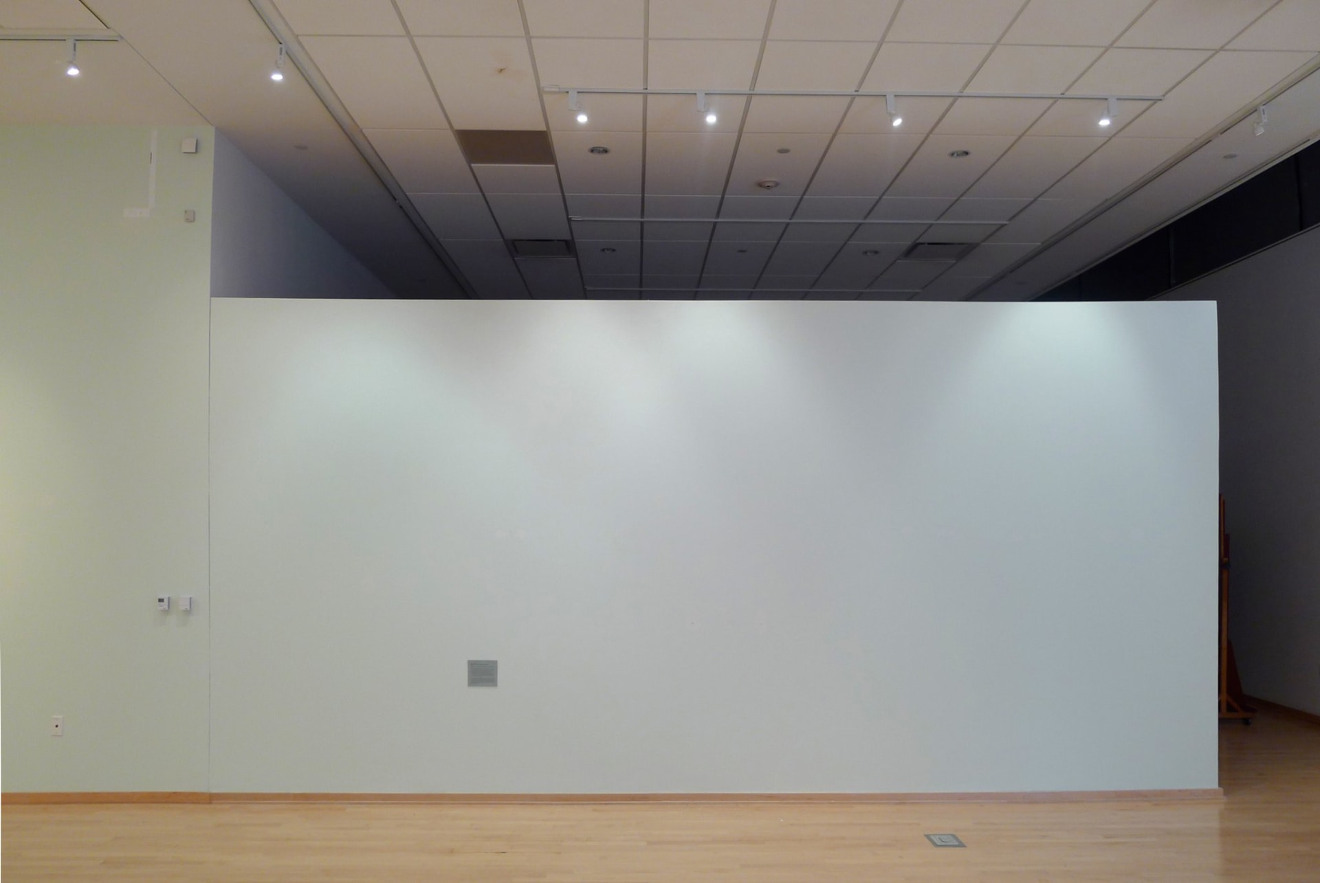 Richard Rigg, This One, the  Next, and the One After That, 2009