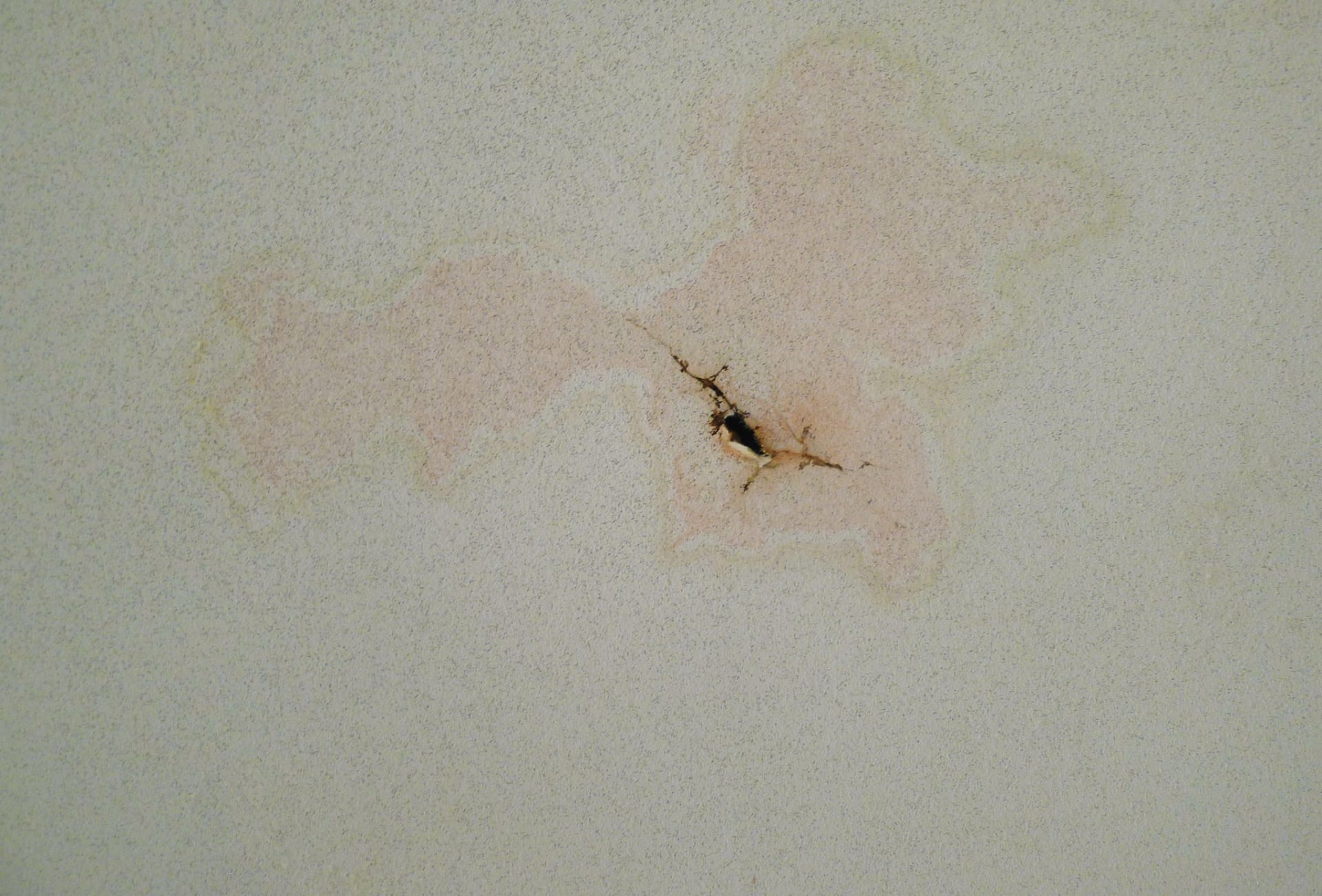 Richard Rigg, This One, The  Next, and The One After That, 2009