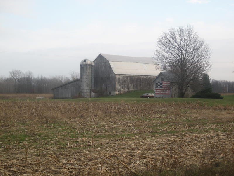Sophie Lisa Beresford, Corn              [1 of 2], 2010