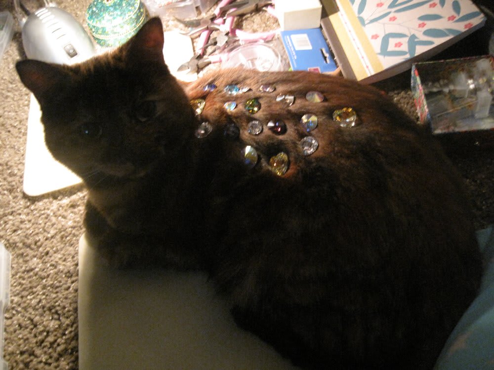 Sophie Lisa Beresford, Tango Bejewelled, 2011