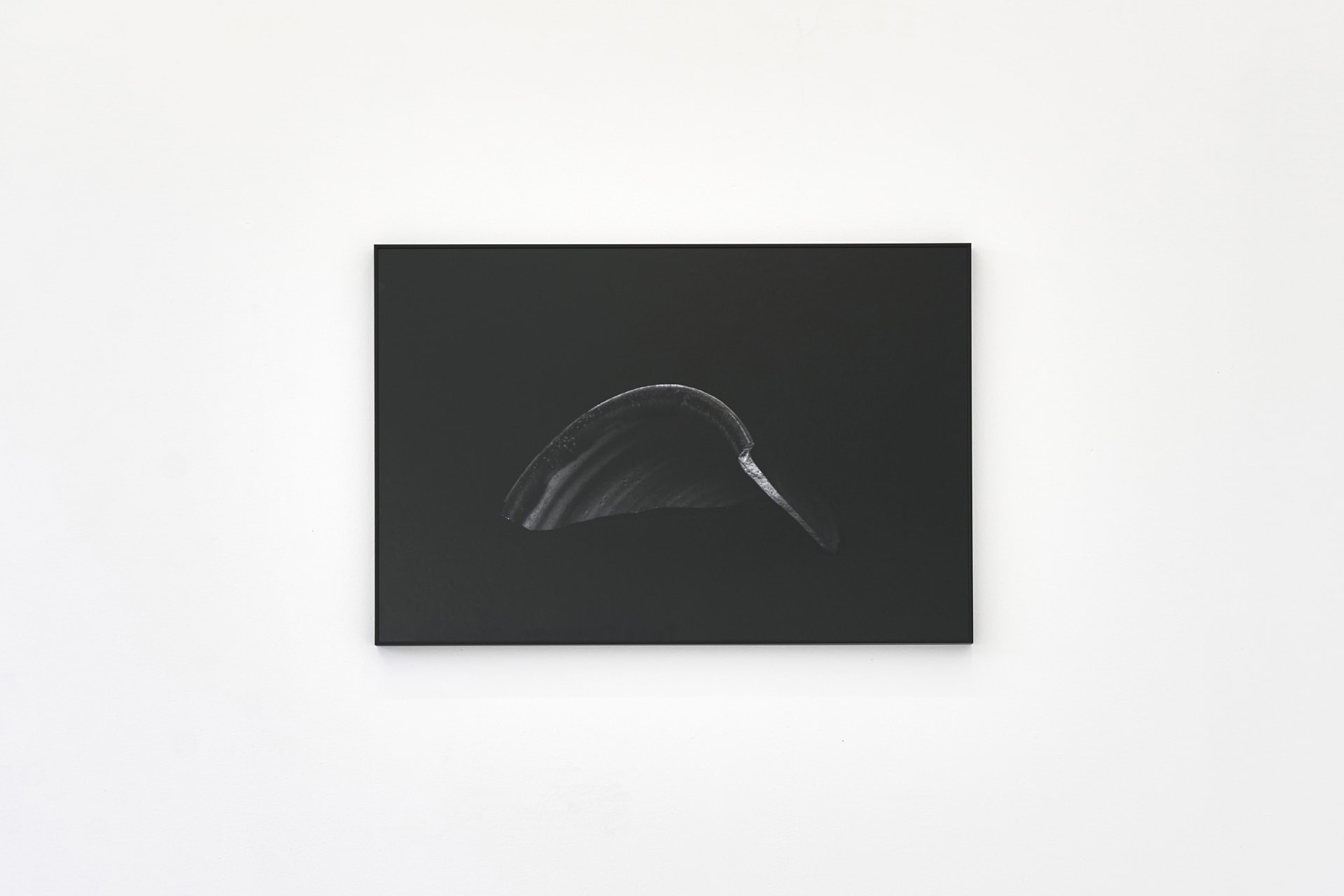 Tess Denman-Cleaver, Untitled (1), 2021