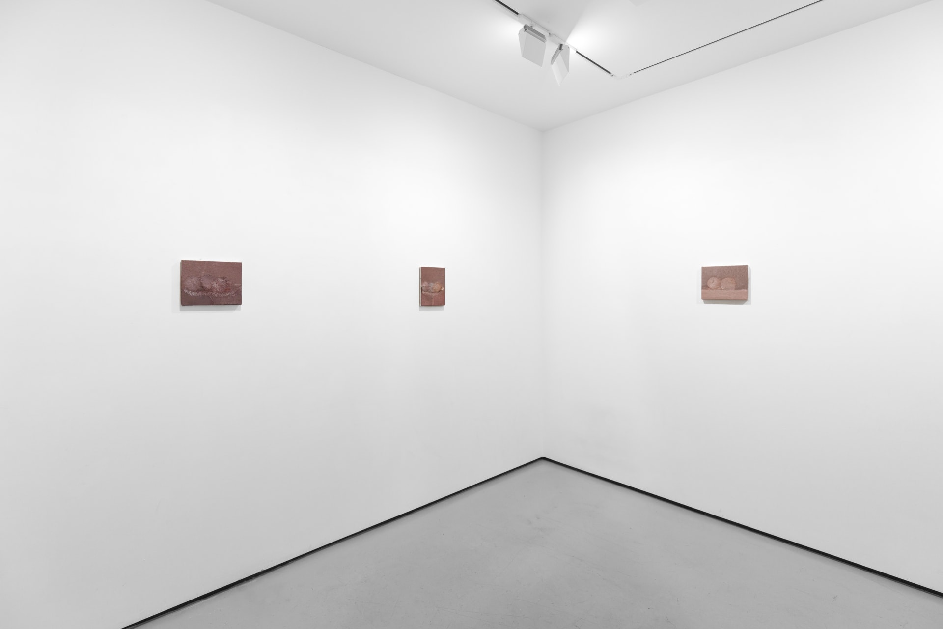 Installation view of Focus: Marta Ravasi