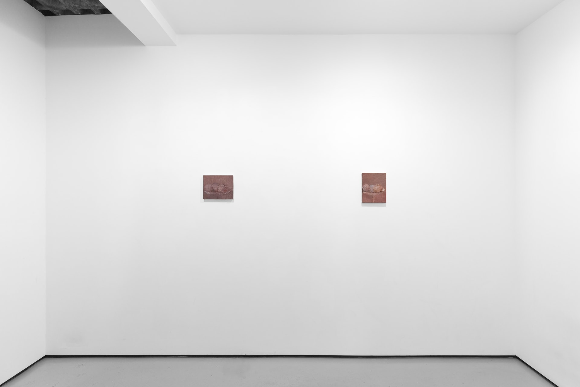 Installation view of Focus: Marta Ravasi
