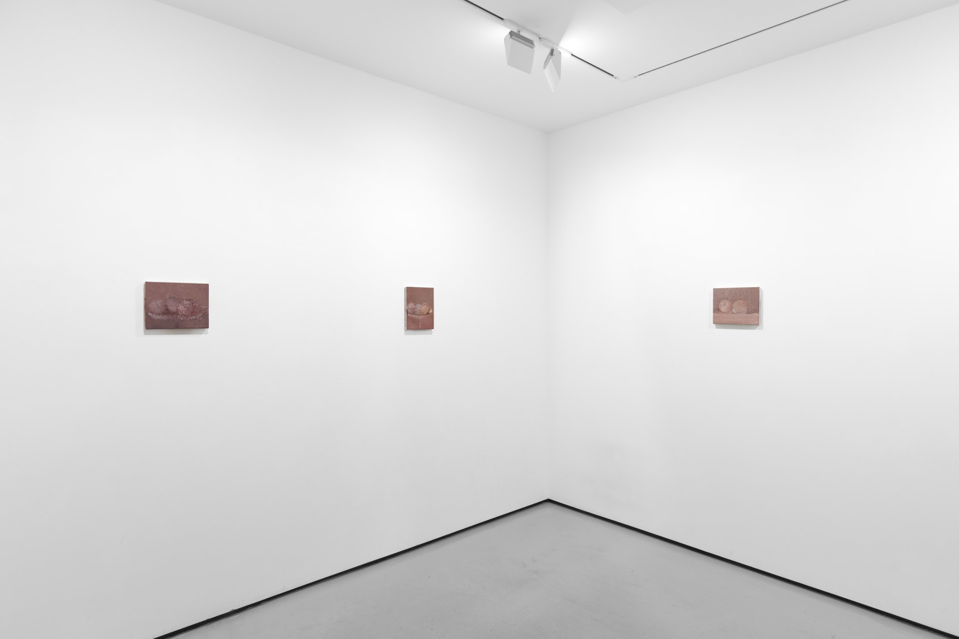 Installation view of Focus: Marta Ravasi