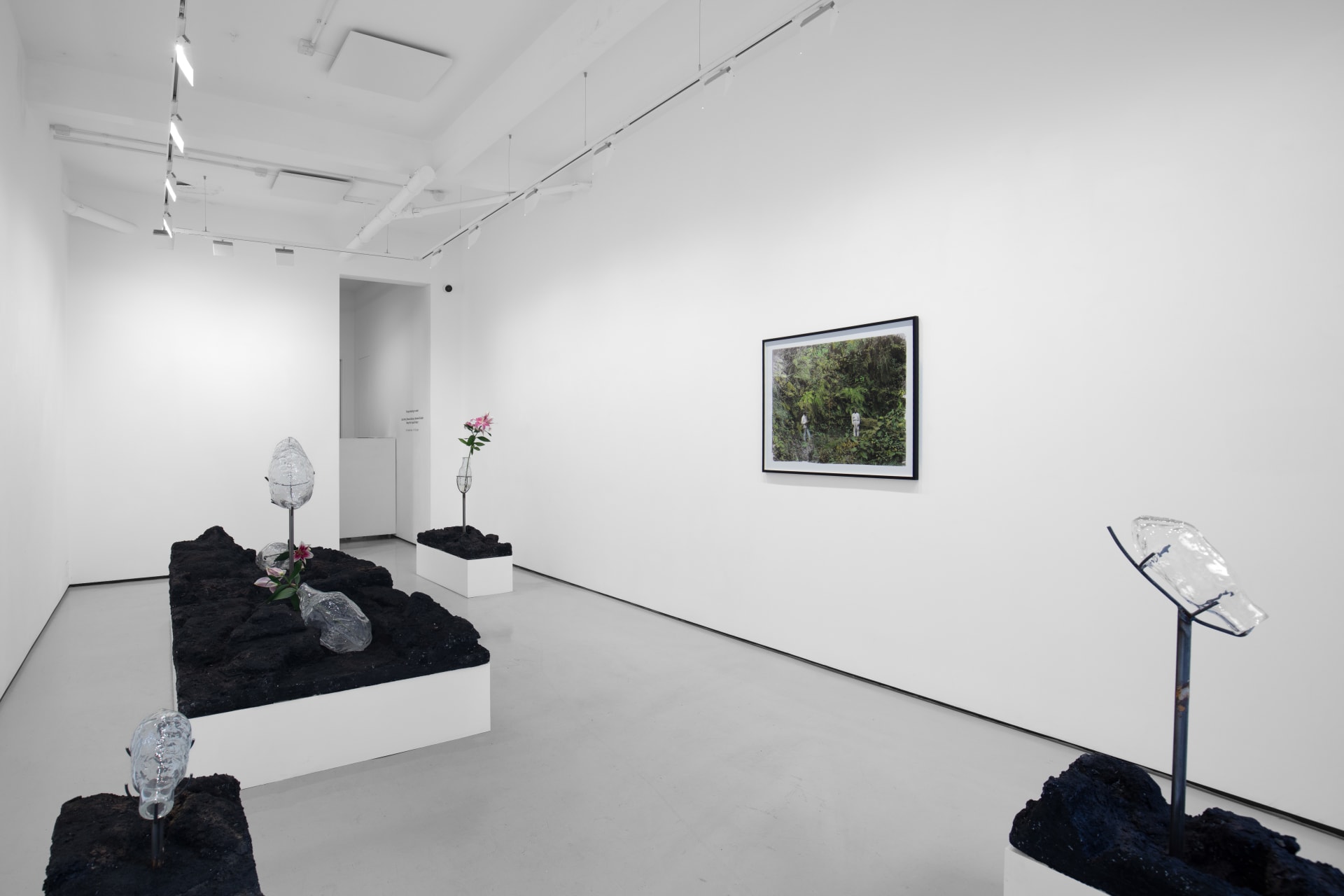 Installation image of 'Though floating on water' at Workplace London