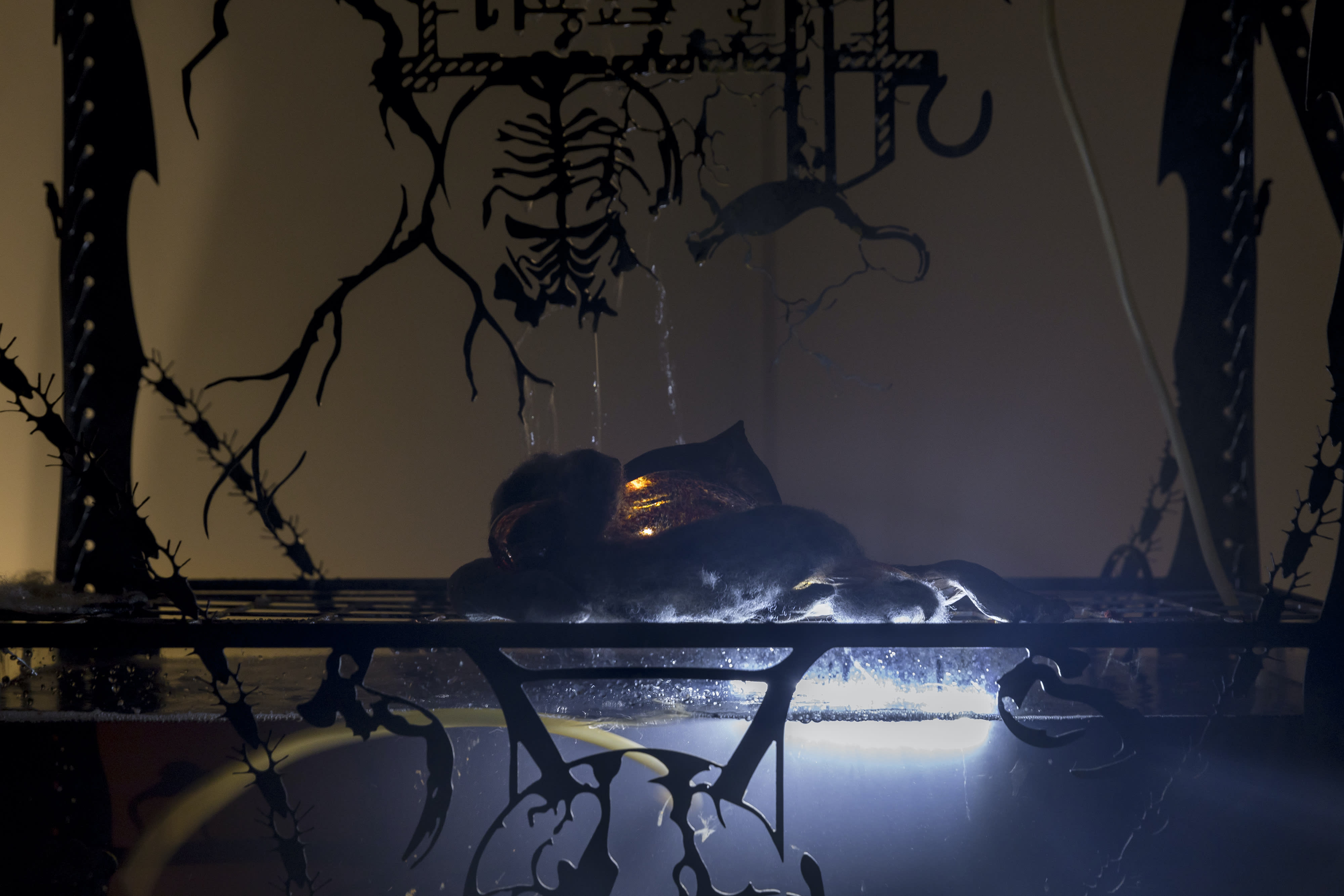 An installation by Hazel Brill including a water tanks filled with a dark liquid laser cut steel dividers, mouth-blown glass objects, projections and lights