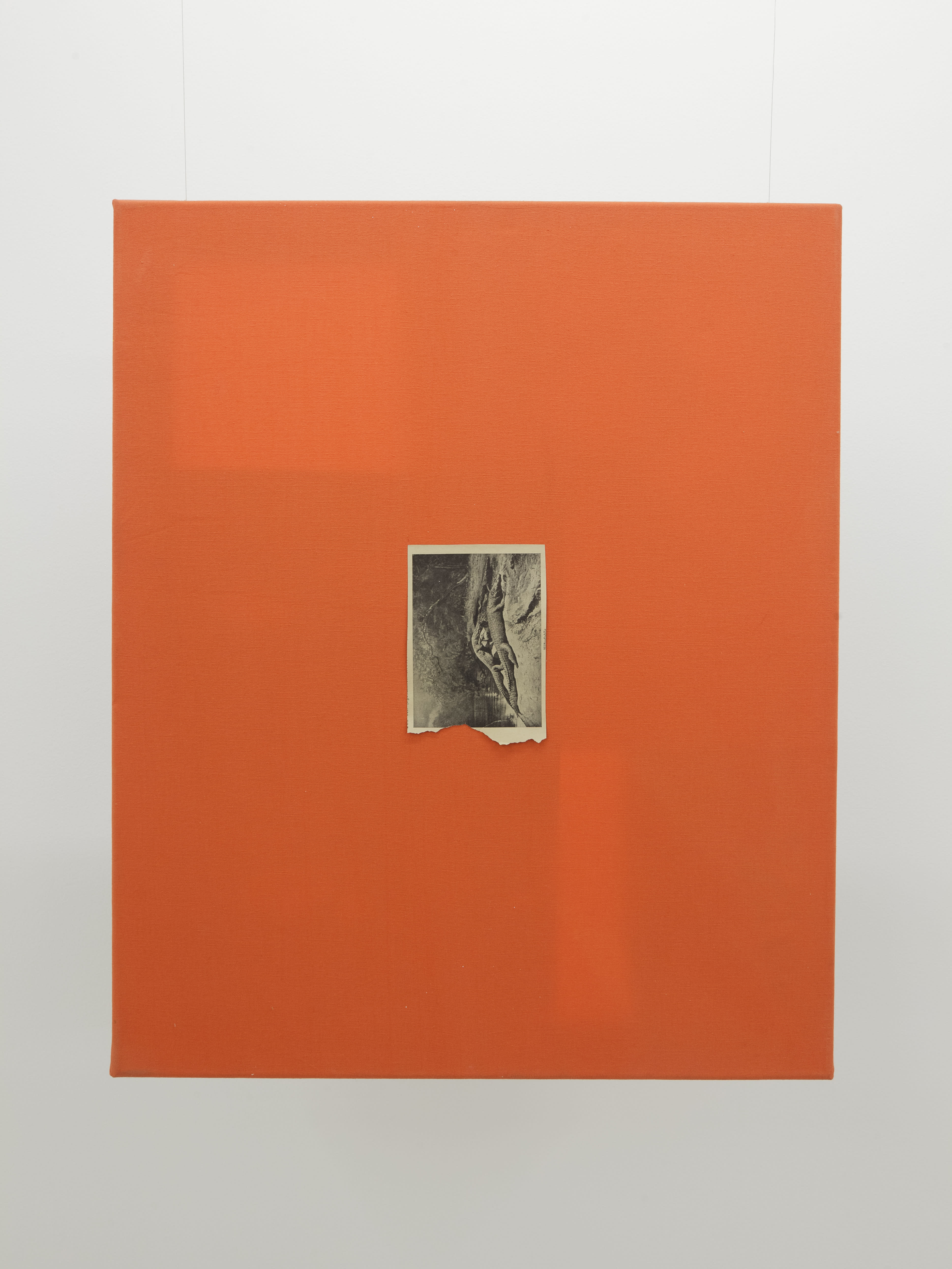 installation shots of Hugo Canoilas' exhibition at Workplace London