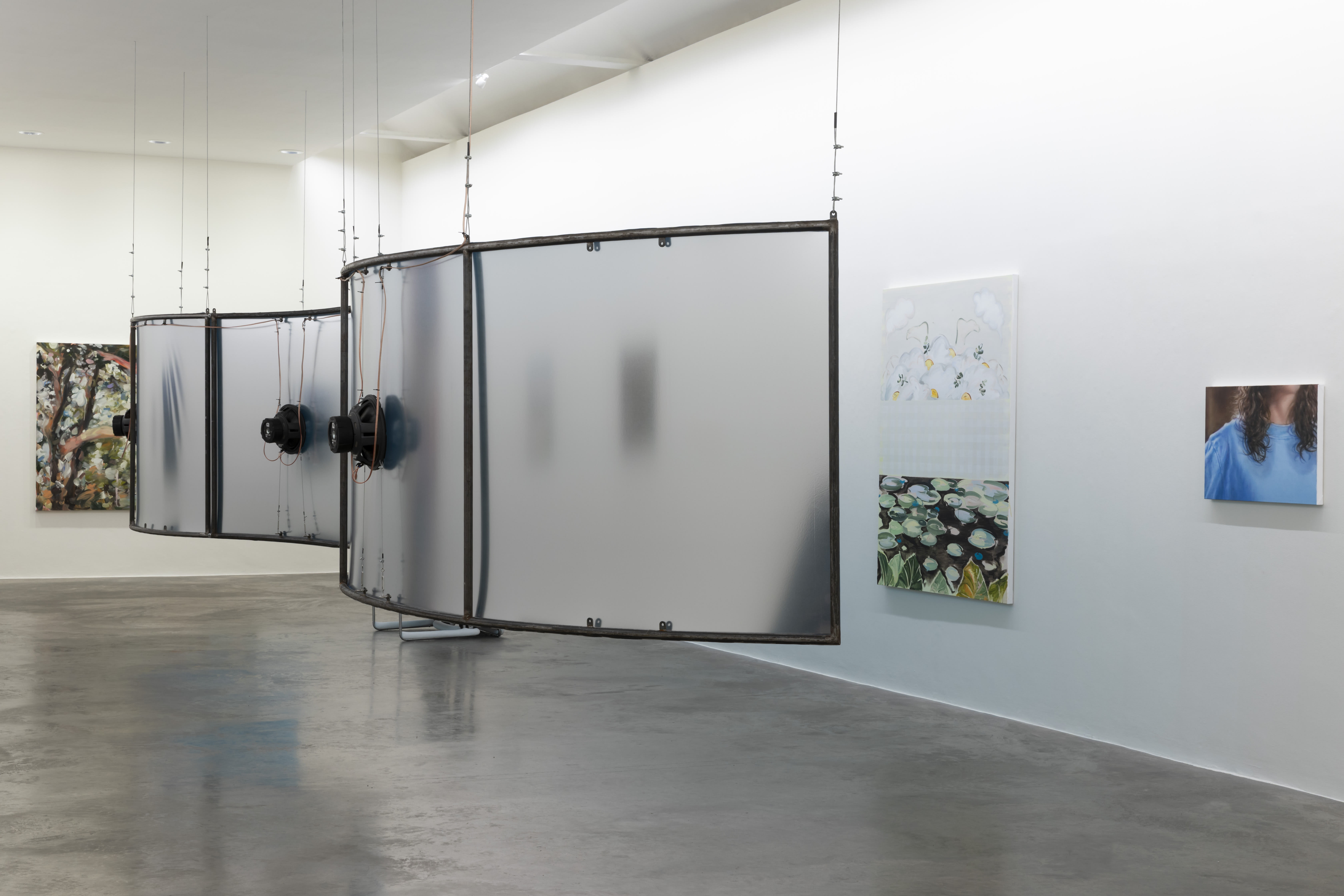 Installation view of 'Pictures Of You' - curated by Miles Thurlow, at Kerlin Gallery, Dublin