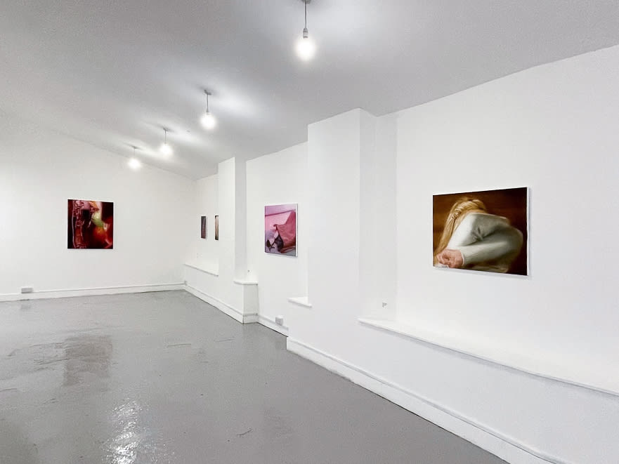 Installation images of Rachel Lancaster's exhibition at Elysium Gallery, Swansea