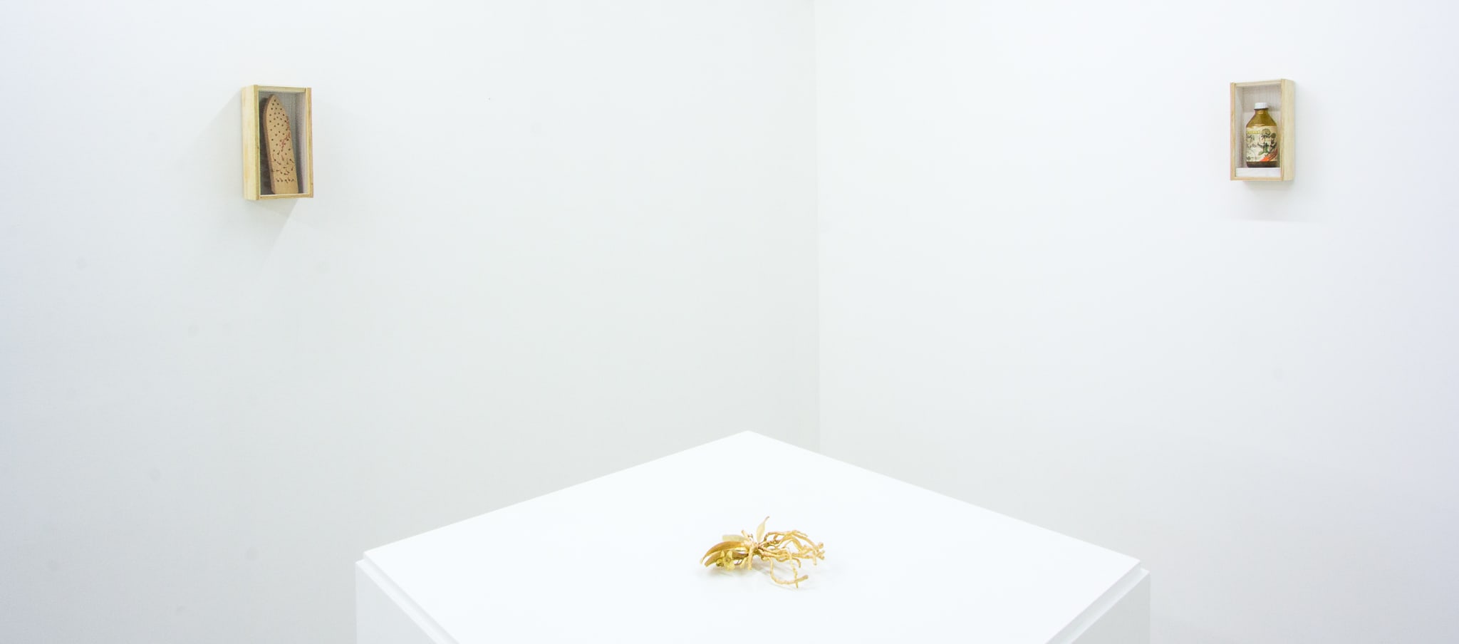 Installation photographs of Joseph Beuys: Wirtschaftswert at Workplace | London