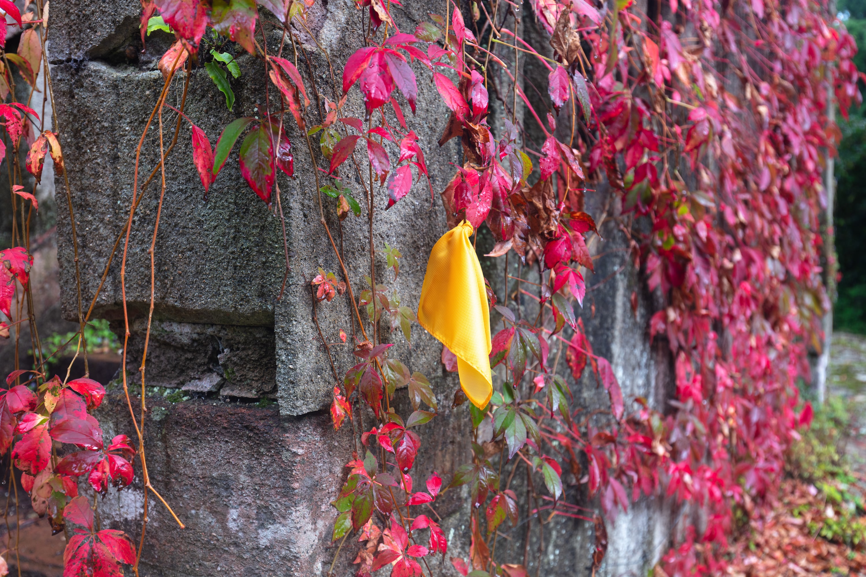 Artworks by James Cabaniuk installed outside in a lush green garden