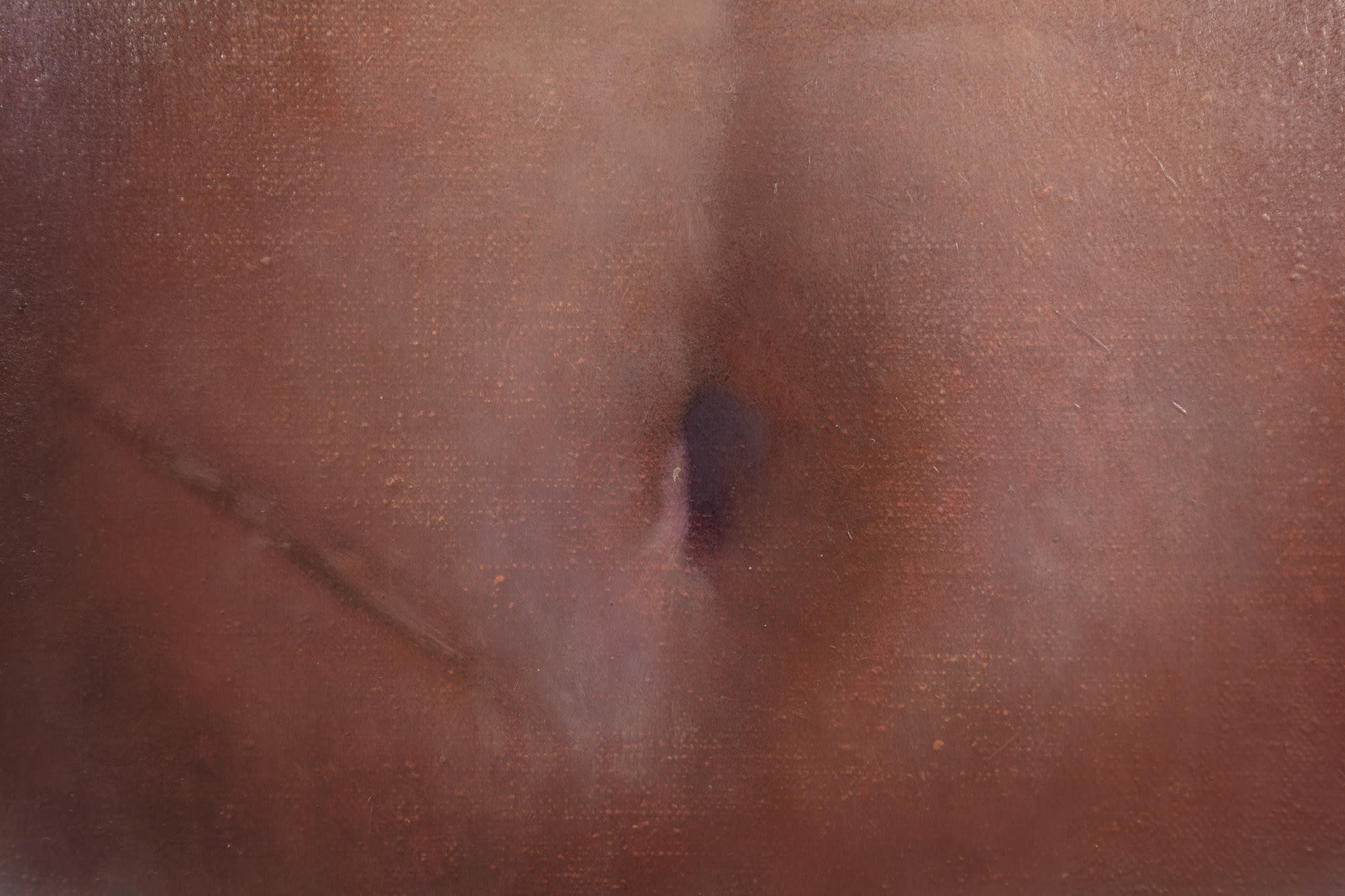 a cropped image of a painting by Pei Wang that depicts a stomach with naval and a scar