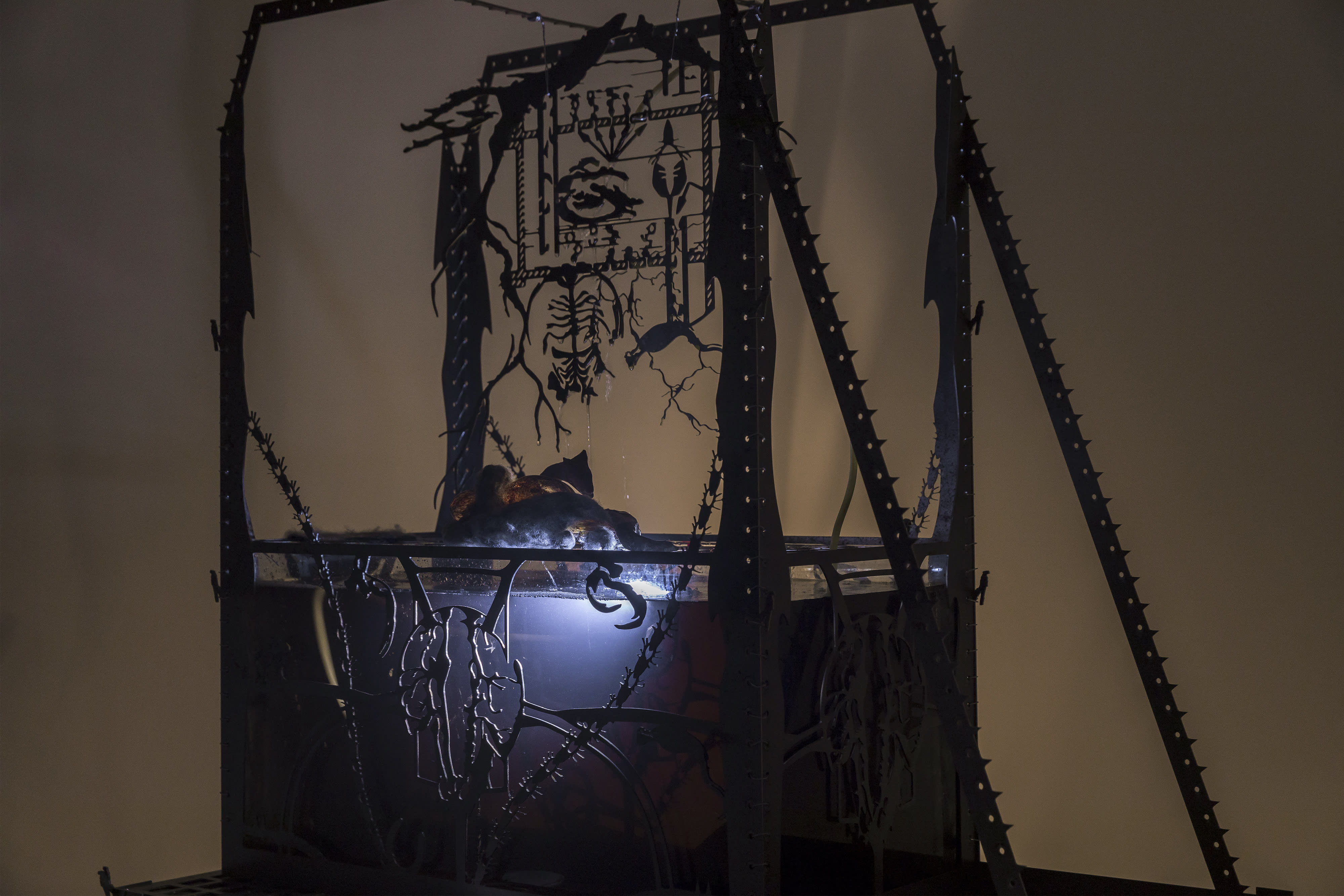 An installation by Hazel Brill including a water tanks filled with a dark liquid laser cut steel dividers, mouth-blown glass objects, projections and lights