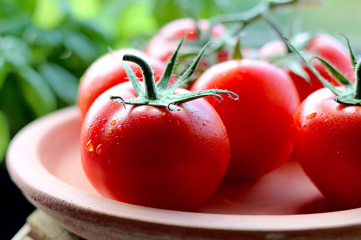 Roma Tomatoes