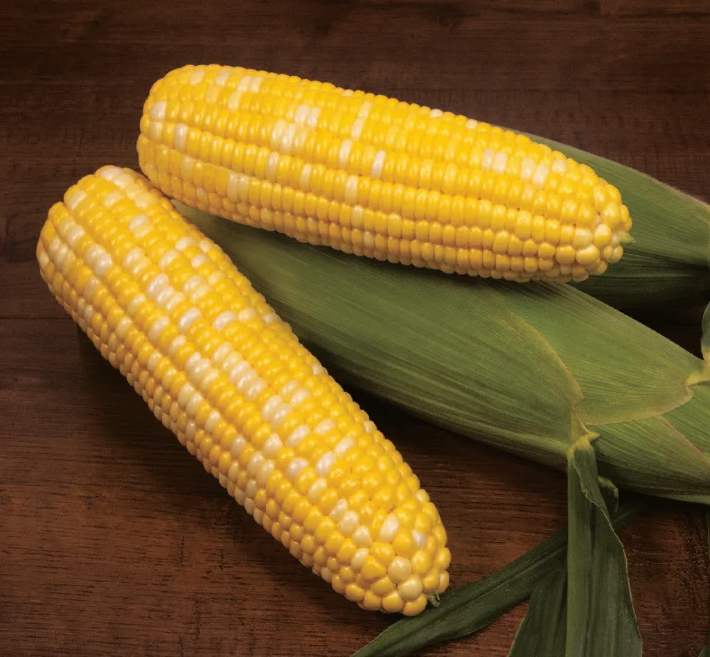 Sweet Corn