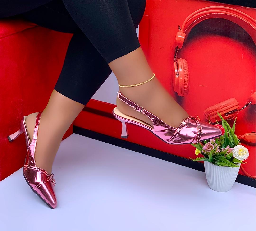 Pointed Toe Versatile Heel