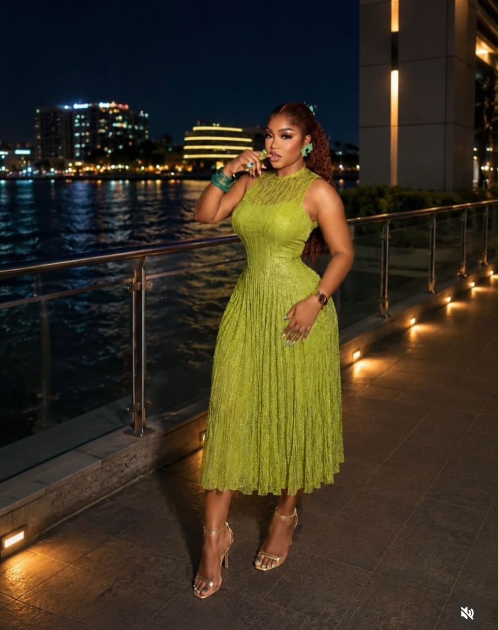 Classy Net Dress