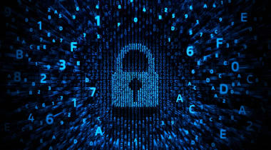 2025 Critical Hardware Weaknesses (Hardware CWE Special Interest Group)