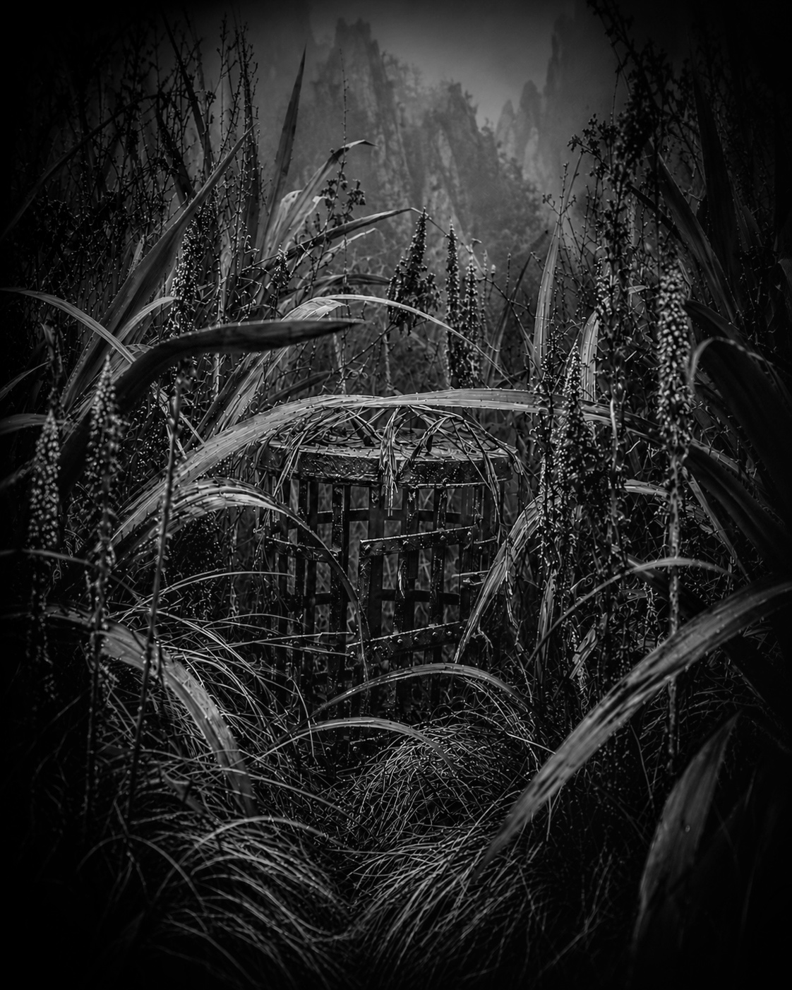 The Cage