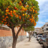Touristic License, Garage Parking, 450 m to Beach - 23