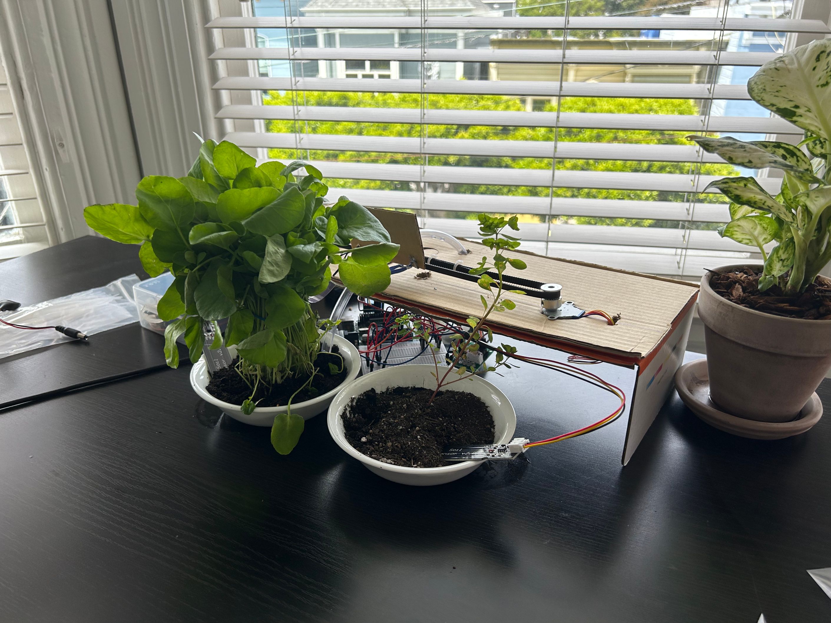 Automatic Plant Waterer
