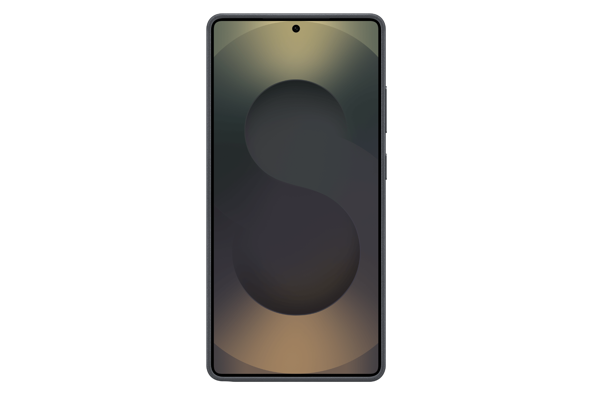 Samsung Galaxy S25 Kindsuit Case 2
