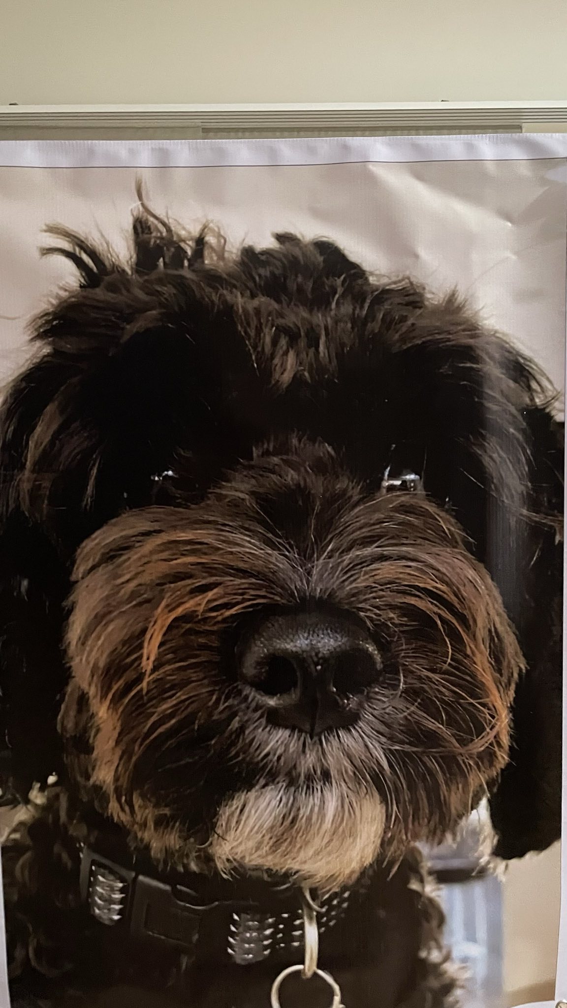 Vinyl print sample on display