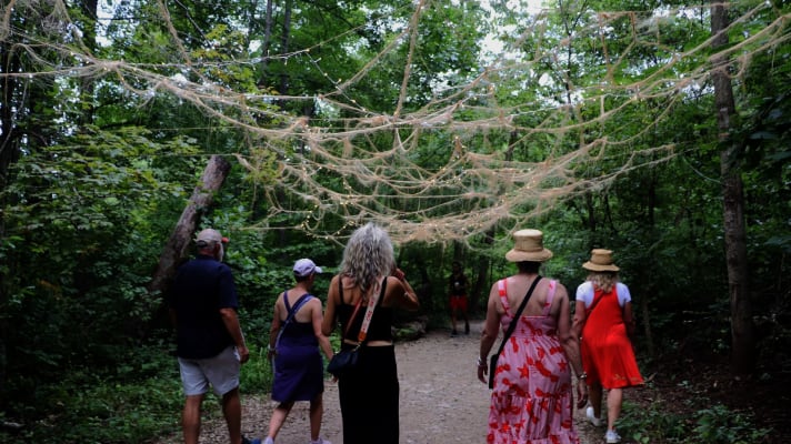 2018 Artist in Residence Anthony Heinz May repurposes a dying tree