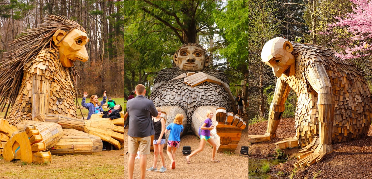 Forest Giants | Must Sees | Bernheim Fores